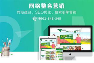 天津網(wǎng)站排名優(yōu)化公司排名