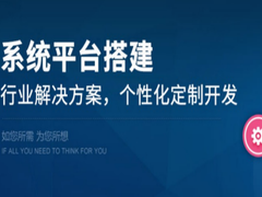 天津app定制開發 app開發定制外包 實體公司開發團隊