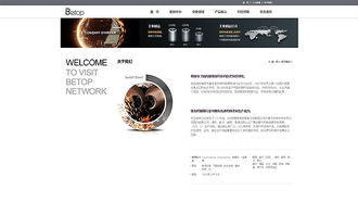 天津網(wǎng)頁開發(fā)與工業(yè)制造官網(wǎng)設(shè)計——奔唐網(wǎng)絡(luò)的卓越實踐